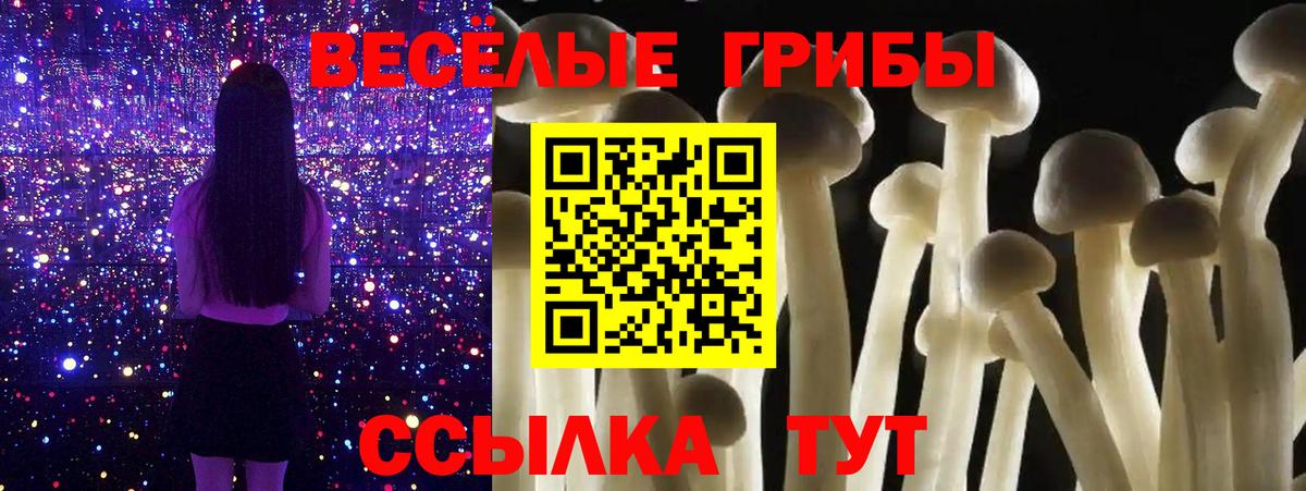 Галлюциногенные грибы MAGIC MUSHROOMS  Вход с VPN  Россия 