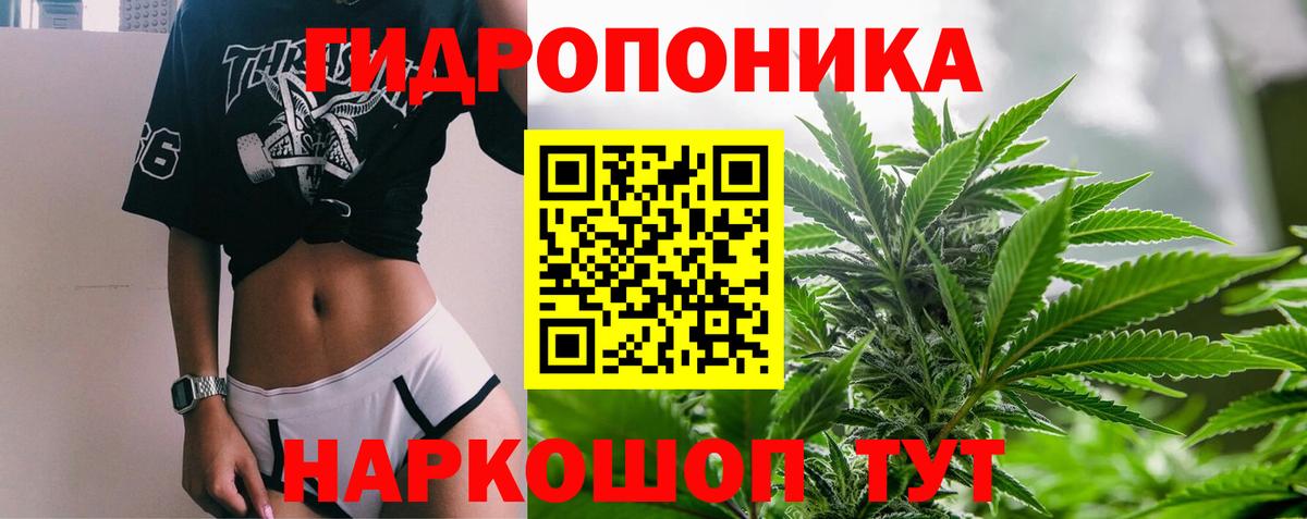 Бошки Шишки Ganja Россия
